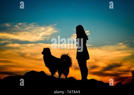 Frau und Australian Shepherd Stockfoto