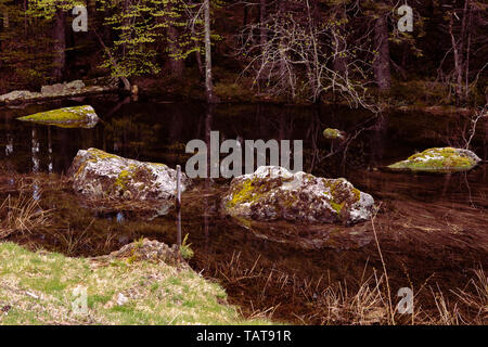 Bemoosten Felsen im Wald See. Stilles Wasser, versenkten Steine, dunklen Wasser. Spiegelungen im Wasser. Schwarzwald, Deutschland. Natürliche Hintergrund. Stockfoto