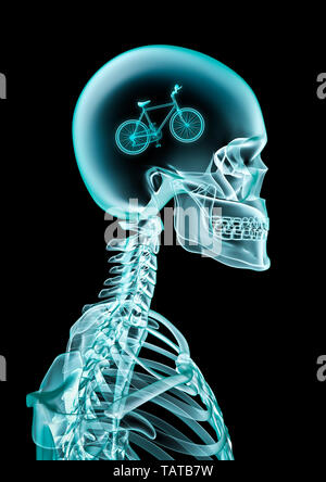 X-ray Radfahrer cycology Lüfter-/3D-Abbildung des menschlichen Skeletts x-ray Fahrrad Übersicht im Kopf Stockfoto