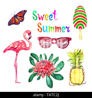 Sweet Summer Aquarell isoliert Abbildung, Monarch butterfly, Gläser, gestreifte Eis, Flamingo, New South Wales waratah Stockfoto