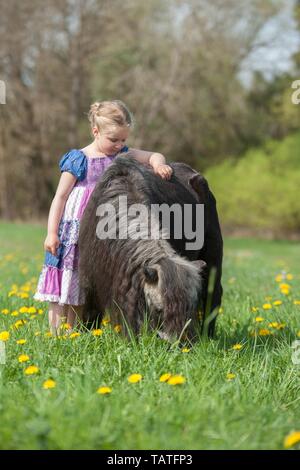 Mädchen und Shetland Pony Stockfoto