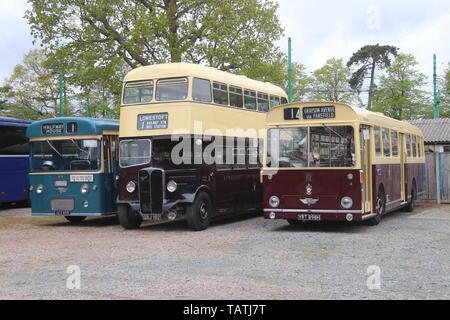 EAST ANGLIA TRANSPORT MUSEUM Stockfoto