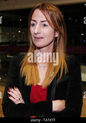 Independents 4 Ändern Kandidat Clare Daly im Gespräch mit den Medien während der Zählung des Dubliner Wahlkreis für die Wahlen zum Europäischen Parlament an der RDS. Stockfoto