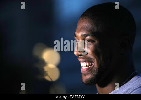 Anthony Josua im Mondrian Park Avenue, New York. Stockfoto