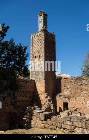 Blick auf die Störche in die Ruinen von Chellah oder Shalla, einem mittelalterlichen, befestigten Muslimischen Nekropole im Stadtbereich von Rabat, Marokko Stockfoto