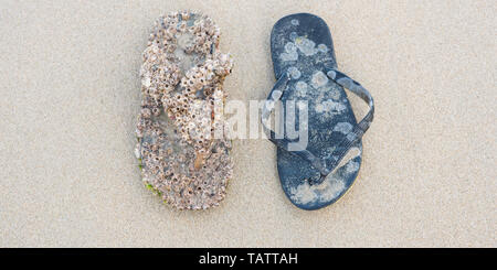 Flip-flops zurück aus dem Meer: das eine ist voll mit Acorn barnacles abgedeckt und ein Anderes ist nur leicht durch das Meer berührt. Stockfoto