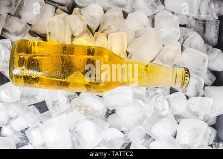 Flaschen Kaltes und frisches Bier mit Eis Stockfoto