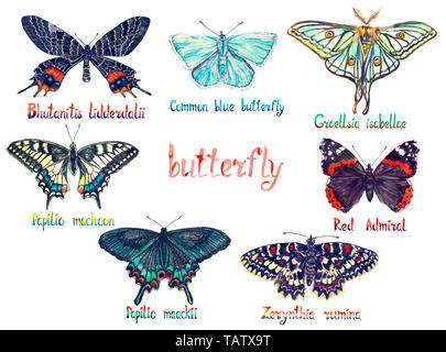 Bhutanitis lidderdalii, gemeinsame Blau, Graellsia isabellae, Pieris Rapae, Papilio maackii, Lycaena rumina und Rote Admiral, Handgemalten Aquarell Stockfoto