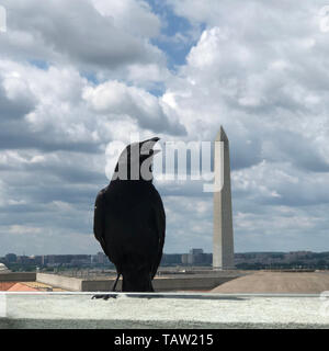 Washington, DC, USA. 27. Mai, 2019. Foto mit einem Handy aufgenommen zeigt ein Vogel ruht auf einem Gebäude in der Nähe des Washington Monument, Washington, DC, USA, am 27. Mai 2019. Quelle: Liu Jie/Xinhua/Alamy leben Nachrichten Stockfoto