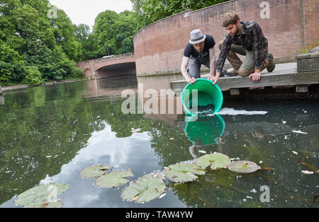 Hamburg, Deutschland. 28 Mai, 2019. Rüdiger Märker (l), Angler, und Robin Giesler, Angeln Biologe, (beide von der Fischerei Verband Hamburg e.V.) die Goldbek Kanal mit jungen Aale besetzen. Für den Schutz von Arten, junge Aale und Glasaale werden abwechselnd einmal im Jahr in die Binnengewässer freigegeben. Quelle: Georg Wendt/dpa/Alamy leben Nachrichten Stockfoto