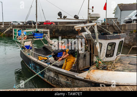 Schull, West Cork, Irland. 28 Mai, 2019. An einem Tag von Sonne und Wolken, ein einheimischer Fischer Mauren am Dock in Schull Hafen mit seinen Fang von Braun Krabben und Hummer. Der Fang wird in Castletownbere getroffen werden an diesem Abend behandelt werden. Am Abend bleibt trocken und hell mit Top temps von 12 bis 16°C. Credit: Andy Gibson/Alamy leben Nachrichten Stockfoto