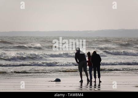 Gower, Swansea, Wales, UK. 28. Mai 2019. Wetter: Eine Familie vorsichtig vorgehen eine große Qualle Angeschwemmten am Ufer. Wanderer und Ausflügler genossen lange Perioden der Sonnenschein trotz der windigen Bedingungen bei Rhossili Bay auf der Halbinsel Gower, South Wales. Credit: Gareth Llewelyn/Alamy leben Nachrichten Stockfoto