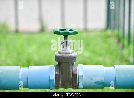 Ventil Wasser auf PVC-Rohr im Garten Stockfoto