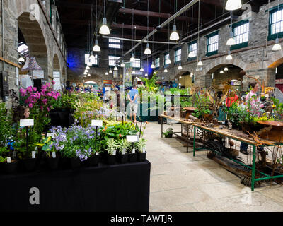 Verkaufsstände für Tavistock Garden Festival, Mai 2019, am historischen Viktorianisches Pannier Market im Devon, Großbritannien Stadt Stockfoto