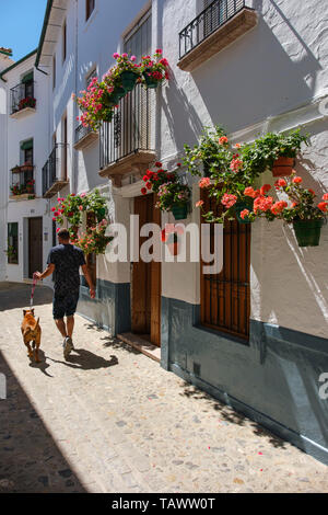 Typische Straße mit Blumen im Barrio de la Villa, Priego de Cordoba. Provinz Córdoba, im südlichen Andalusien. Spanien Europa Stockfoto