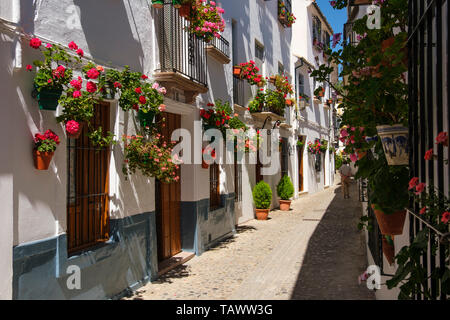 Typische Straße mit Blumen im Barrio de la Villa, Priego de Cordoba. Provinz Córdoba, im südlichen Andalusien. Spanien Europa Stockfoto