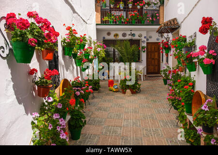 Typische Straße mit Blumen im Barrio de la Villa, Priego de Cordoba. Provinz Córdoba, im südlichen Andalusien. Spanien Europa Stockfoto