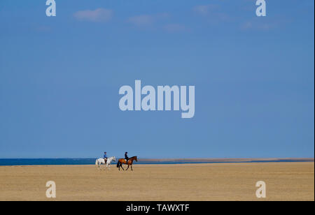 Reiten am holkham Beach, North Norfolk, England Stockfoto