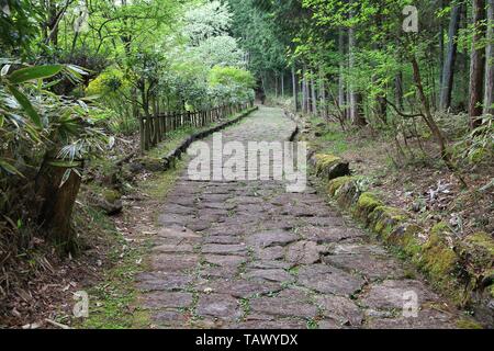 Japan Waldweg - historische Nakasendo Route zwischen Magome und Tsumago. Stockfoto