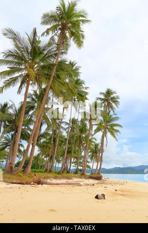 Philippinen - Palawan Island Hopping tour Blick auf Pinagbuyutan Island Beach. Stockfoto