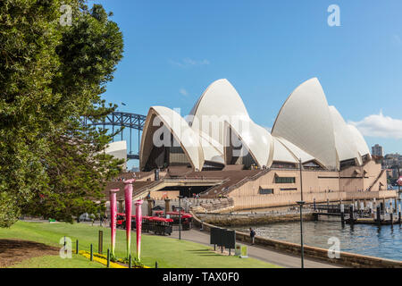 Berühmte Gebäude der Oper von Sydney, Australien, gesehen von der Royal Botanic Gardens. Stockfoto