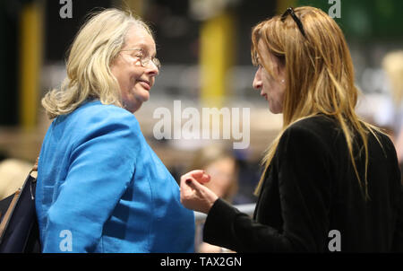 Independents 4 ändern Kandidat Clare Daly (rechts) Chats mit ausgehenden MDEP Nessa Childers während der Zählung des Dubliner Wahlkreis für die Wahlen zum Europäischen Parlament an der RDS in Dublin. Stockfoto