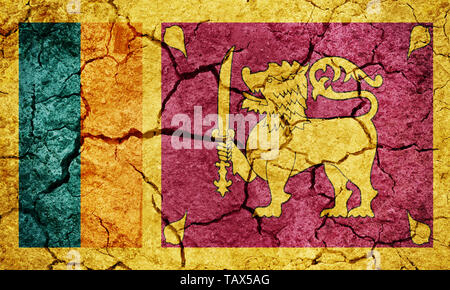 Die Demokratische Sozialistische Republik Sri Lanka Flagge auf trockener Erde Boden Textur Hintergrund Stockfoto