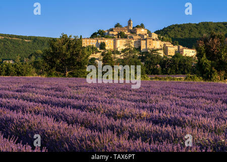 Frankreich, Alpes-de-Haute-Provence (04) - Das Dorf Banon in der Provence mit Lavendel Felder bei Sonnenaufgang im Sommer. Alpen, Frankreich Stockfoto