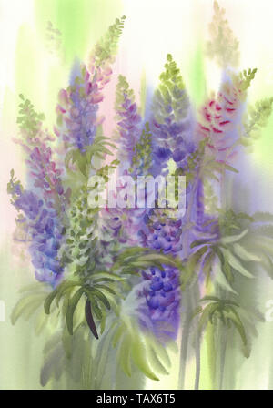 Rosa und Violett Lupin Blumen Aquarell Hintergrund. Sommer Blumen Stockfoto