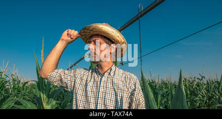 Ernsthafte betroffenen Landwirt in Maisfeld mit Bewässerungsanlage außer Betrieb während der warmen Sommertag Stockfoto