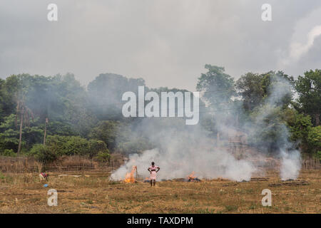 Eine indische Frau Bauer brennen die Stoppeln in einem Feld nach der Ernte in Goa, Indien. Stockfoto