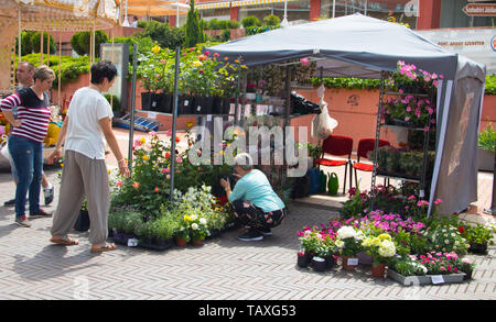 Flower Street Shop, Blumengeschäft und Kunden Auswahl blumen blumenstrauss Stockfoto