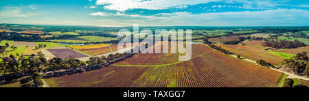 Ultra Wide Antenne Panorama der großen Weinberg und ländliche Landschaft der Halbinsel Mornington, Victoria, Australien Stockfoto