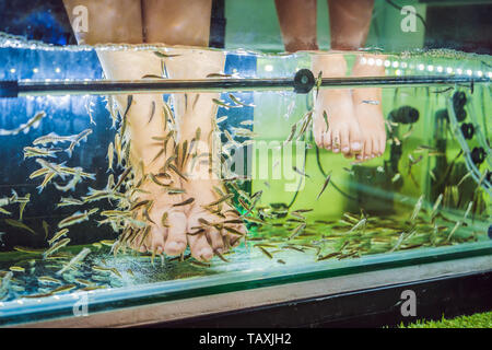 Mutter und Sohn am Fish Spa Stockfoto