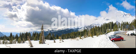 Paradies, Mount Rainier National Park Stockfoto