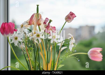 Blumenstrauß aus verblassten Frühling Blumen, Tulpen und Narzissen ausgetrocknet, Hintergrund abend sonnenuntergang himmel im Fenster Stockfoto