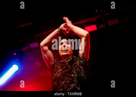 Nonantola Modena Italien 25. Mai 2019 Die Struts live auf VOX Club © Andrea Ripamonti/Alamy Stockfoto