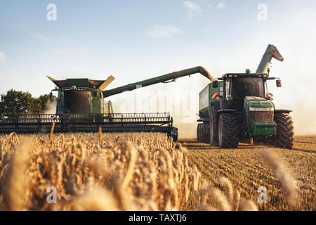 Mähdrescher und einem Traktor auf einem Weizenfeld Stockfoto