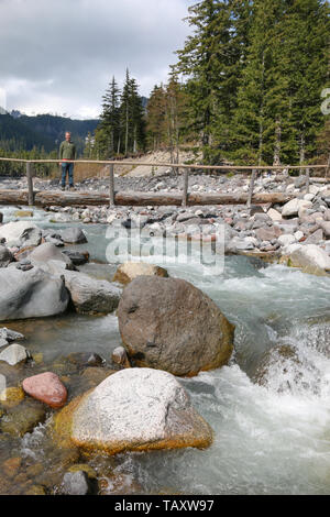 Paradise River, Mount Rainier National Park Stockfoto