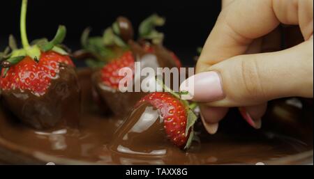 Hand tauchen Reife saftige Erdbeere in geschmolzene Schokolade. Frische Beeren süßes Dessert essen Hintergrund. Nahaufnahme Stockfoto