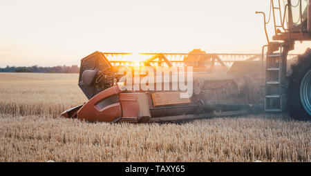 Mähdrescher Ernten von Weizen bei Sonnenuntergang Stockfoto