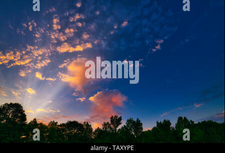 Die Wolken in den frühen Himmel nehmen auf sanften Pastelltönen in ländlichen Alabama. Den Sonnenaufgang ist eine schöne und friedliche Art, den Tag zu beginnen. Stockfoto