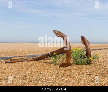 Albeburgh, Suffolk, Großbritannien: Zwei rostige Anker an einem Schindelstrand in duftendem Sonnenlicht. Zwischen ihnen wachsen gelbe Mohnblumen (Glaucium flavum). Stockfoto