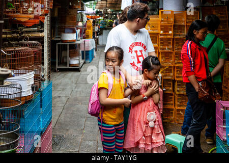 Lokale Familien an die Singvögel in der Yuen Po Street Bird Garden, Hongkong, China Stockfoto