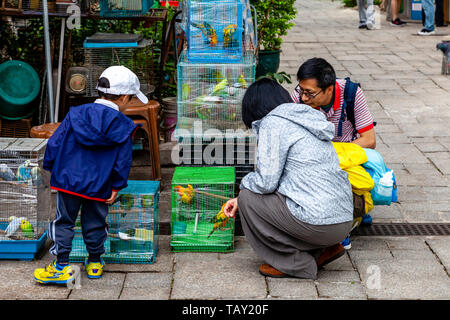 Lokale Familien an die Singvögel in der Yuen Po Street Bird Garden, Hongkong, China Stockfoto