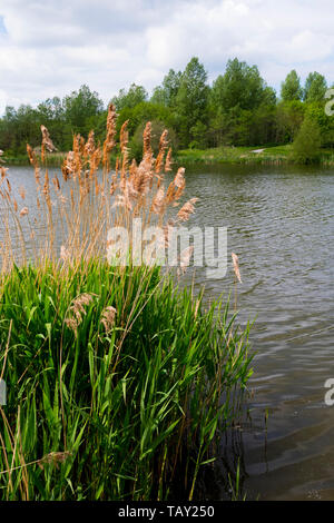 Richtung Tal Richtung Tal Leicestershire, Großbritannien Stockfoto