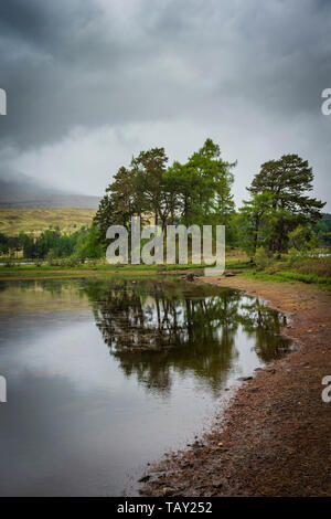 Loch Tulla, Brücke von Orchy, Schottland. Loch Tulla ist ein kleines Loch in der Nähe von Glen Coe und Rannoch Moor im zentralen Hochland von Schottland auf dem West Highland Way Stockfoto