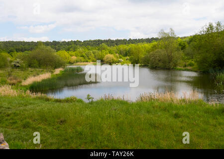 Richtung Tal Richtung Tal Leicestershire, Großbritannien Stockfoto