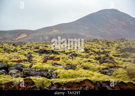 Vulkanische moss Landschaft mit Vulkan im Hintergrund in Island Stockfoto