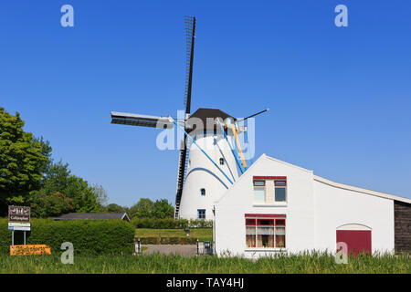 Die alte Mühle (De Oude Molen), eine Schrotmühle (1727) in Colijnsplaat (Seeland), Niederlande Stockfoto